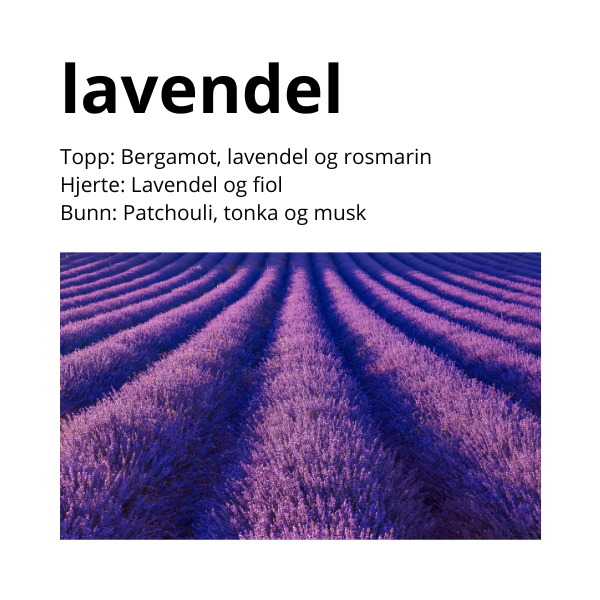 Duftlys - Lavendel